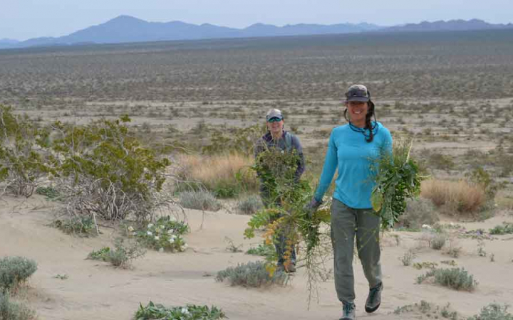 veterans work on a service project during an outward bound veterans course 